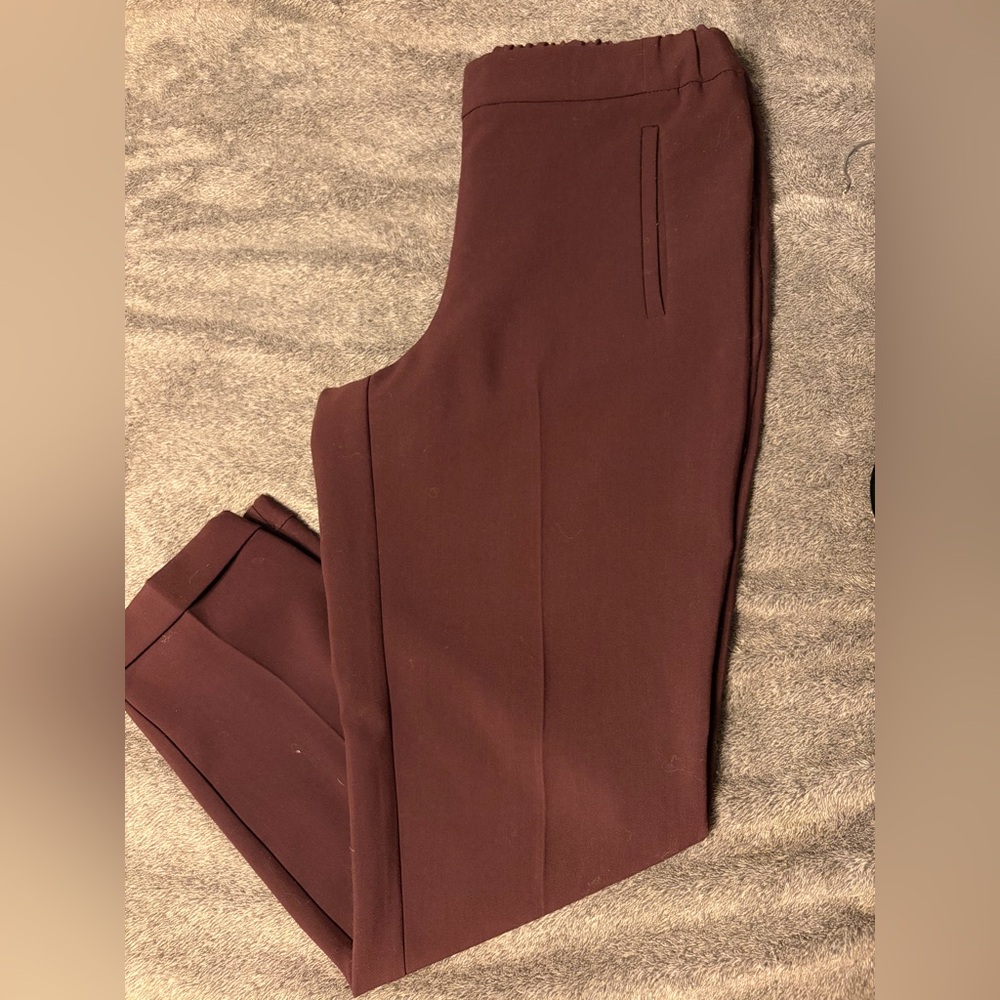 Ann Taylor Burgundy Dress Pants